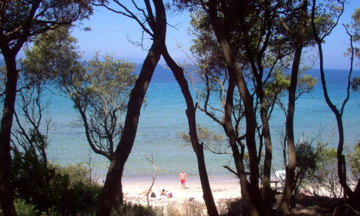 Gavorrano House | 3 bedroom house for 6 people, private pool, near Follonica Tuscany beaches