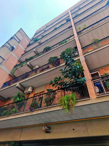 Universita Apartment | 5 metro stop to colosseo