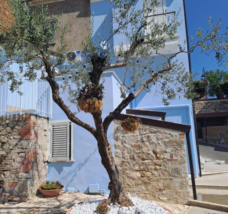 Piedimonte San Germano Bed & Breakfast | A Casa di Lucia