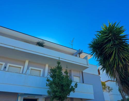 Nettuno Apartment | A CASA DI LUCIO APARTMENT - Bright & spacious apartment, seaside residential area near the Nettuno city centre, close to Sea, Train&Bus Station