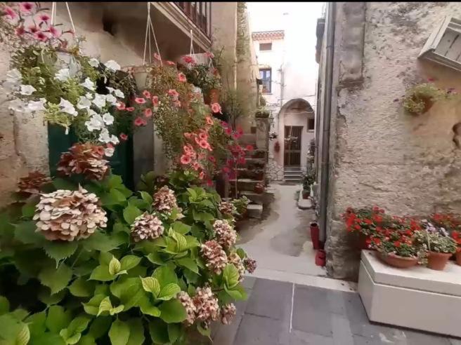 Caggiano House | A casa di Nonna Peppina a Caggiano