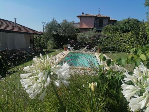 Fonte Blanda Apartment | Affitti Brevi Toscana - Villa Simple