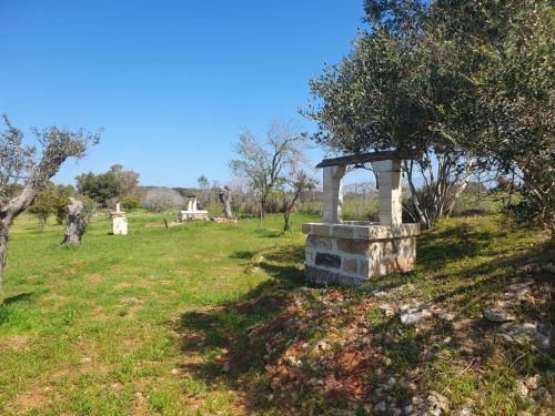 Alezio Other | Agricampeggio Tenuta Ferrario