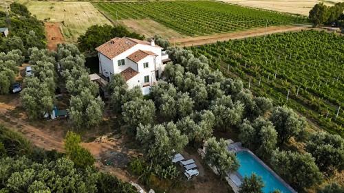 Pian di Rocca House | Agriturismo mare natura