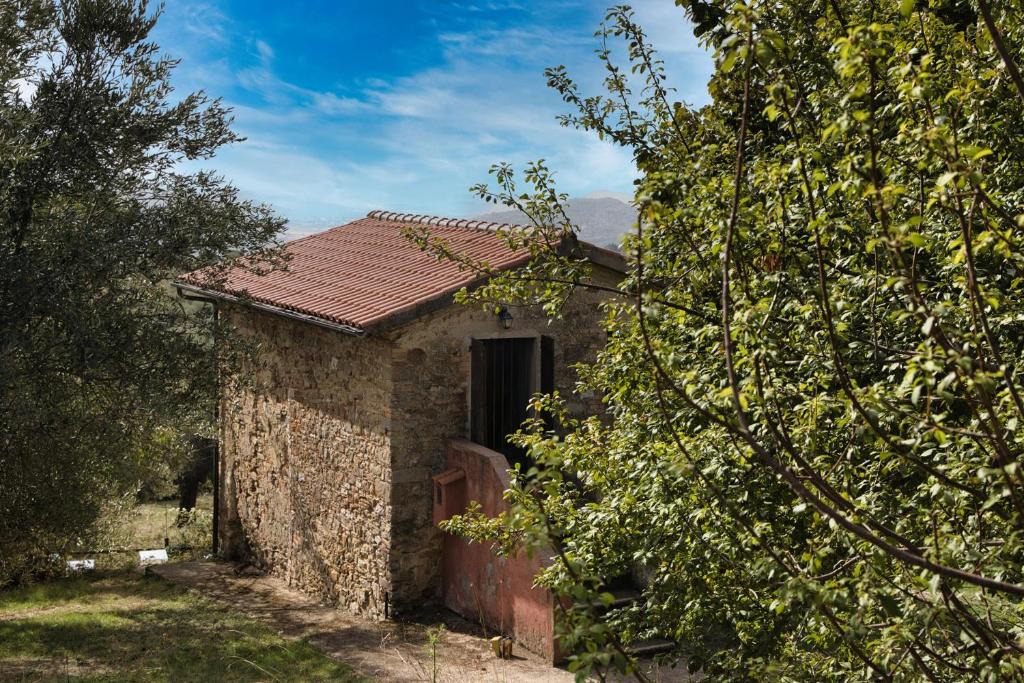 Collesanto House | Agriturismo azienda agraria Ippogrifo