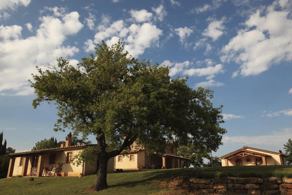 Montorsaio House | Agriturismo Belvedere Di Pierini E Brugi