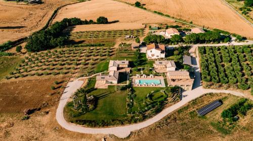 Costa d'Argento House | Agriturismo Colle Oliveto