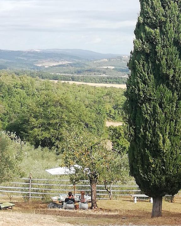 Simignano Bed & Breakfast | Agriturismo gli Arcangeli