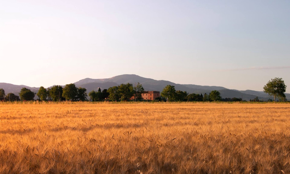 Piombino Other | Agriturismo Il Pescinone - Oleandro, between the countryside and the sea