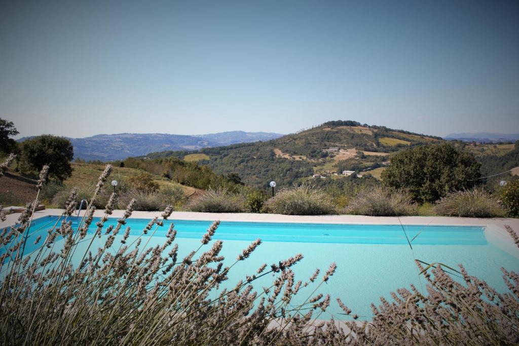 Valfabbrica Apartment | Agriturismo Monte della Dea