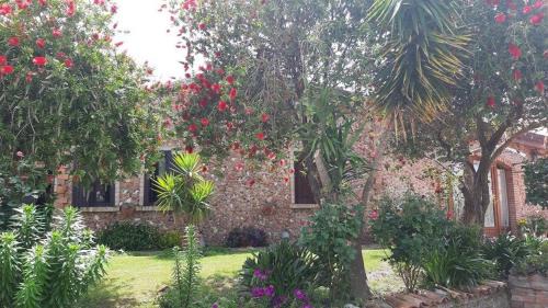 Luzzi House | Agriturismo Pingitore