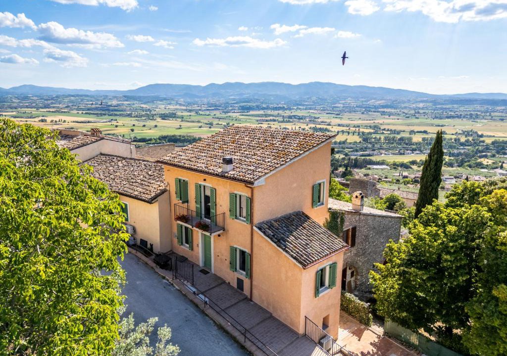 Bovara House | Agriturismo Terra d'Olivo