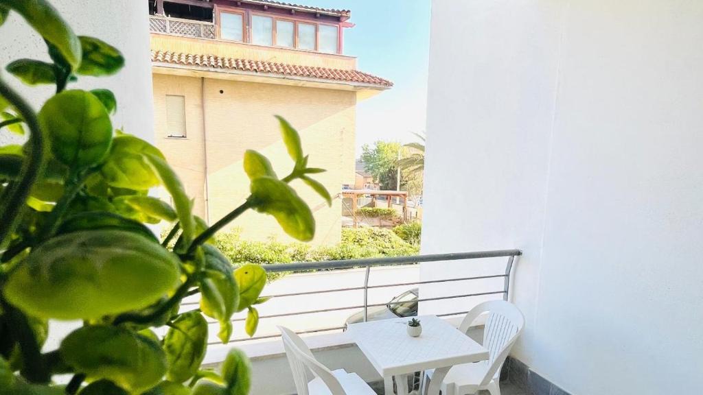 Focene Apartment | Alloggio Cipreidi