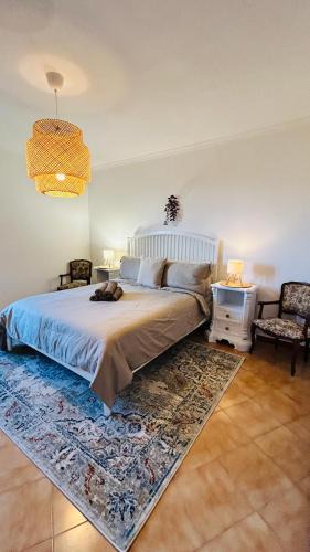 Fiuggi Apartment | Ampio Appartamento su 2 Livelli nel Centro Storico, Ideale per Coppie o Gruppi da 2 a 5 Persone