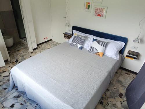 Arcola House | Anthemis