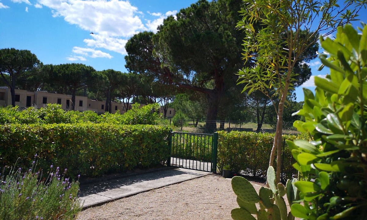 Principina a Mare Apartment | Apartment Bruno at Principina a Mare