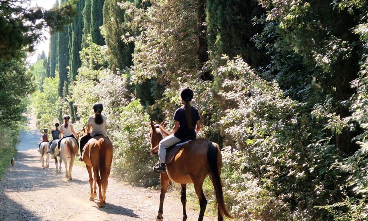 Monteroni d'Arbia Apartment | Apartment 'Romantico' – Farm Stay with View of Siena