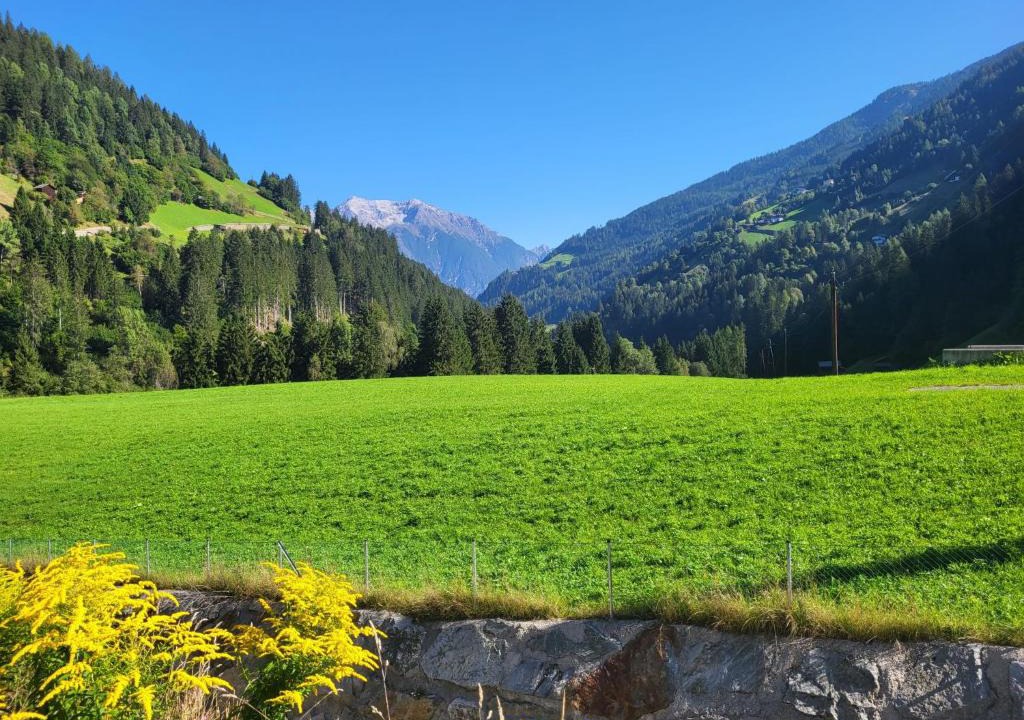 See Apartment | Apartment Tschiderer by Interhome