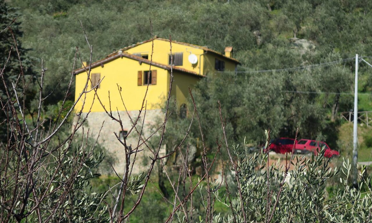 Calci Apartment | Apartment with garden and view in an antique country house in the olive grove
