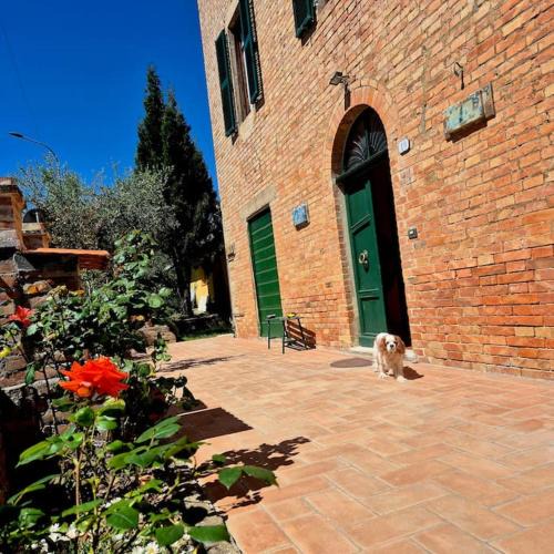 Palazzone Apartment | Appartamento Rosa blu