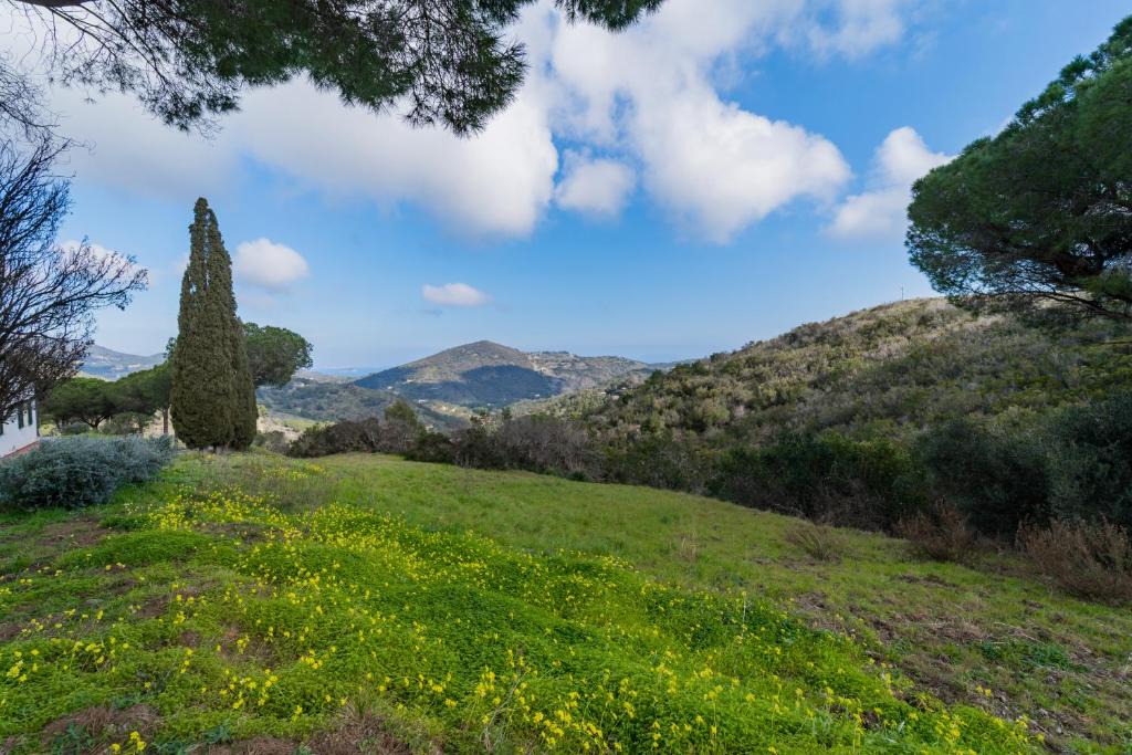 Rio nell'Elba Apartment | Appartamenti Campo al Pero - Goelba