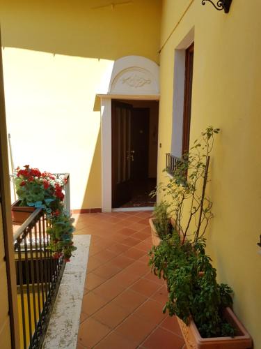 Sulmona Apartment | B&B- Il Roma