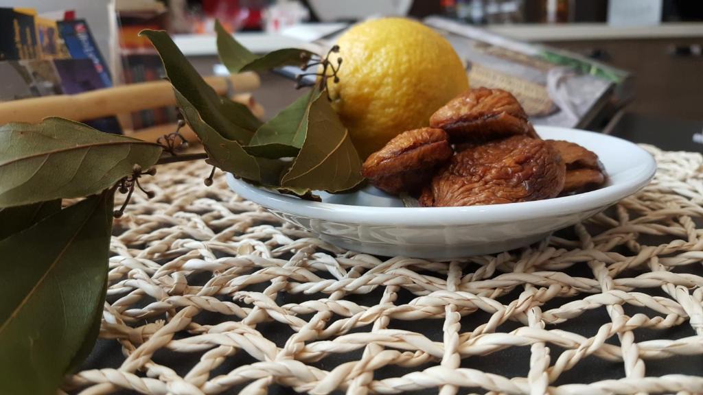 Mesagne Bed & Breakfast | B&B Il Viandante