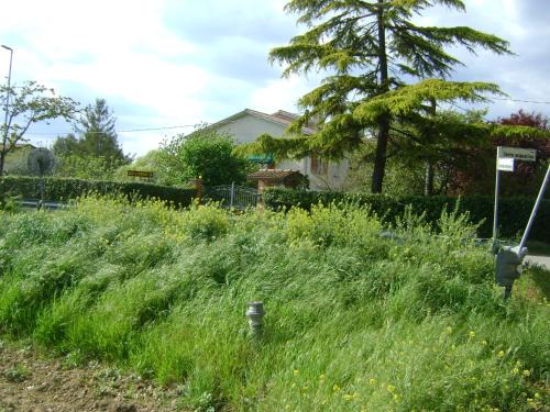 Spello Bed & Breakfast | B&B La Mimosa