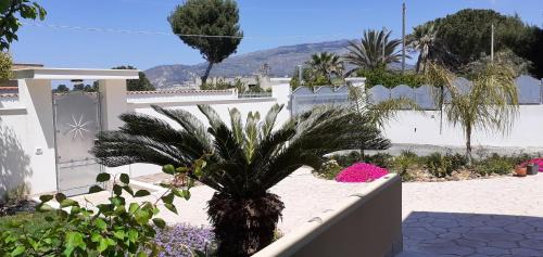 Paceco Bed & Breakfast | B&B Milena