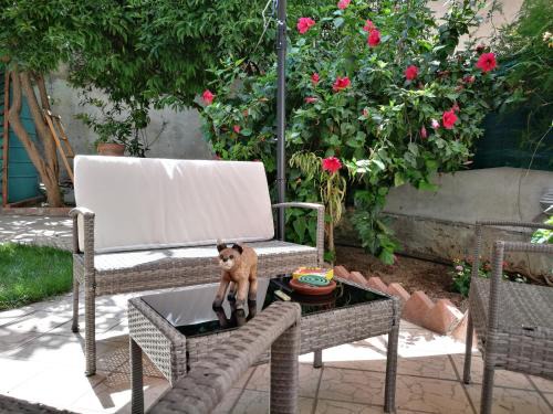 Palermo Bed & Breakfast | BELLA PALERMO