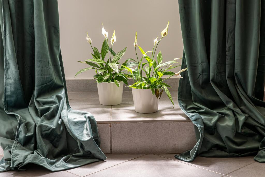Flaminio Apartment | Belle Arti home