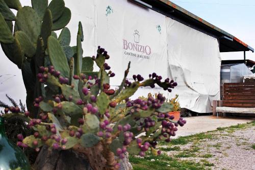 Montegrosso Bed & Breakfast | Bio Bonizio nel Borgo