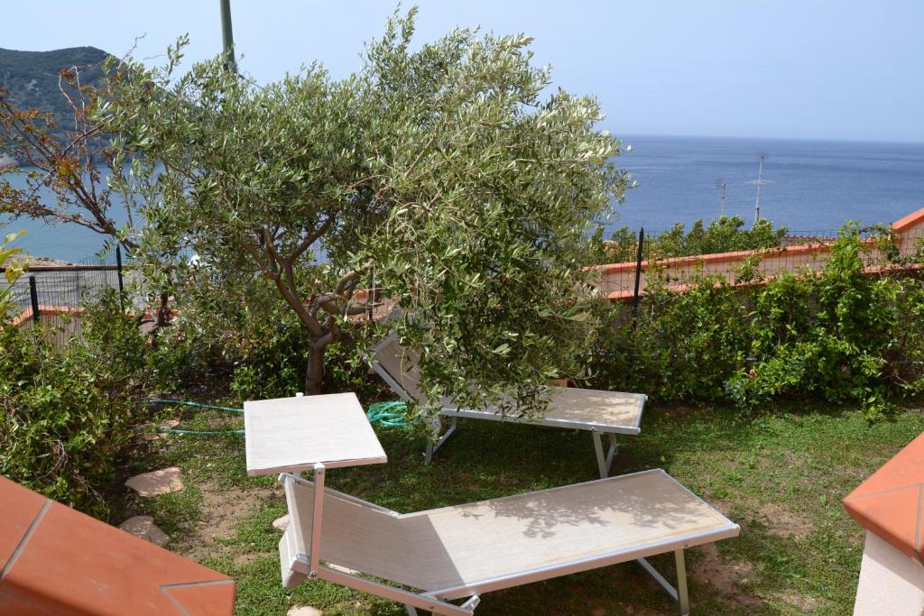 Giglio Campese Apartment | Campese Apartments