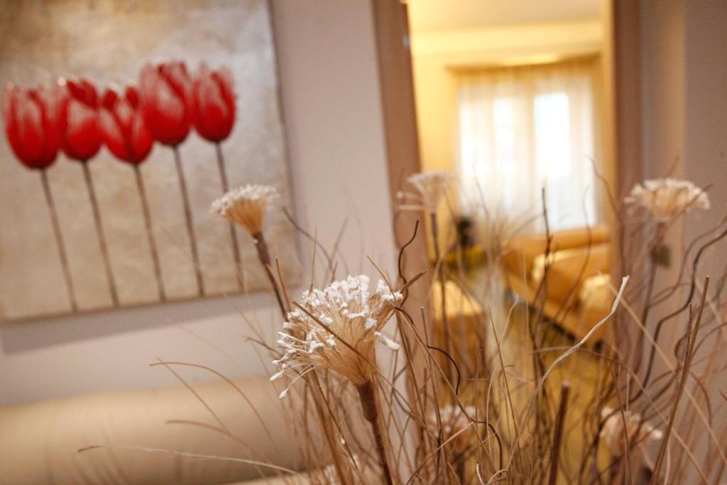 Gianicolo Bed & Breakfast | Casa Eli Roma B&B
