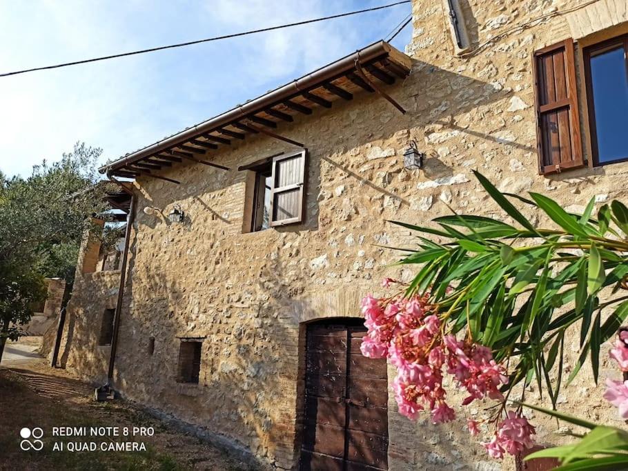 Matigge House | Casa Matigge