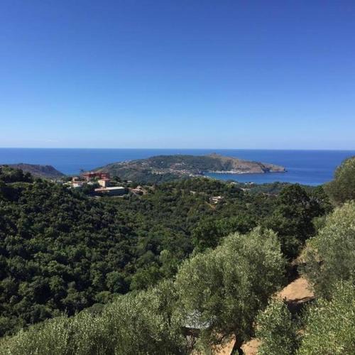 Centola House | Casa Vacanze Domus