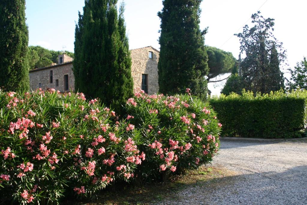 Bibbona Apartment | Casaleaurelia