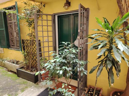 Testaccio Apartment | Casetta indipendente Testaccio Roma Centro