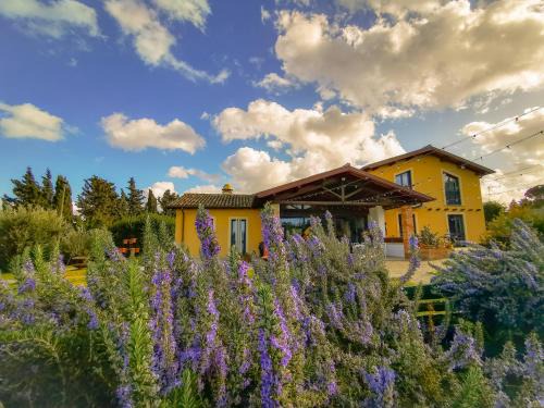 Frascati House | Country House Erba Regina