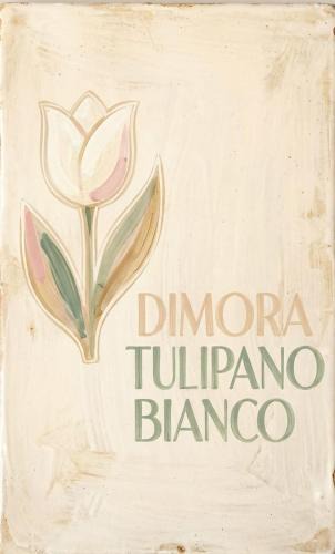 Centro Storico House | Dimora IL TULIPANO BIANCO