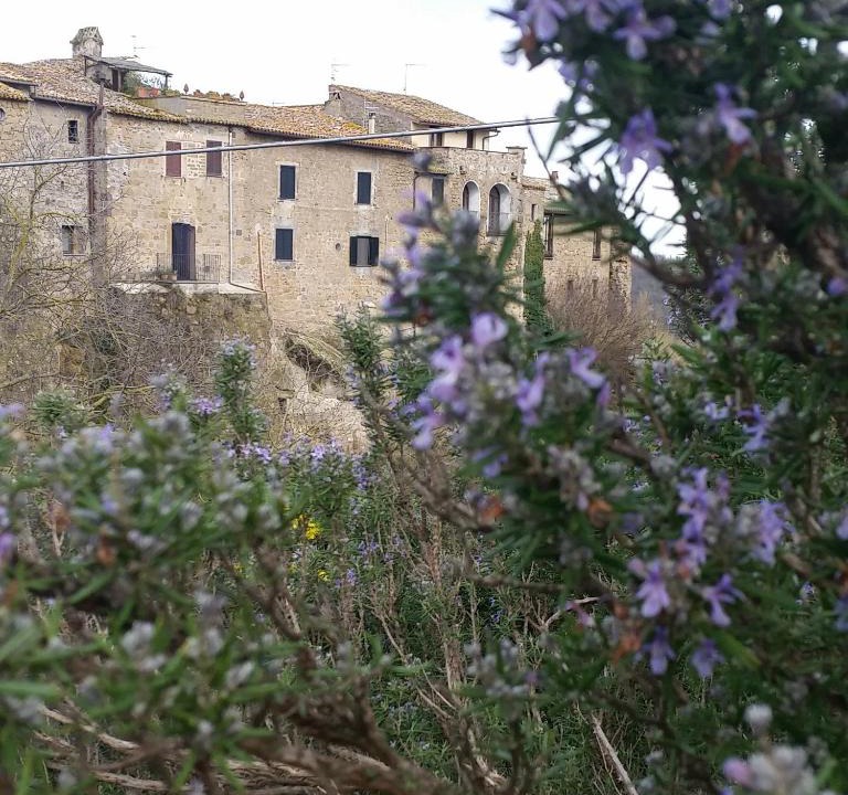 Cellere Apartment | Dimora Plandiana
