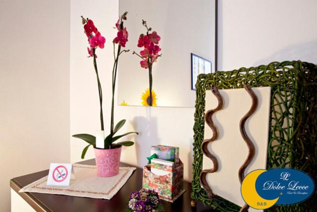 Lecce Bed & Breakfast | Dolce Lecce B&B
