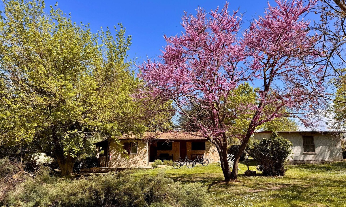 Pitigliano House | Farmhouse "Volpe" with Shared Pool, Private Terrace & Wi-Fi