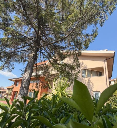 Rocca Priora Bed & Breakfast | Firmamento Royal House
