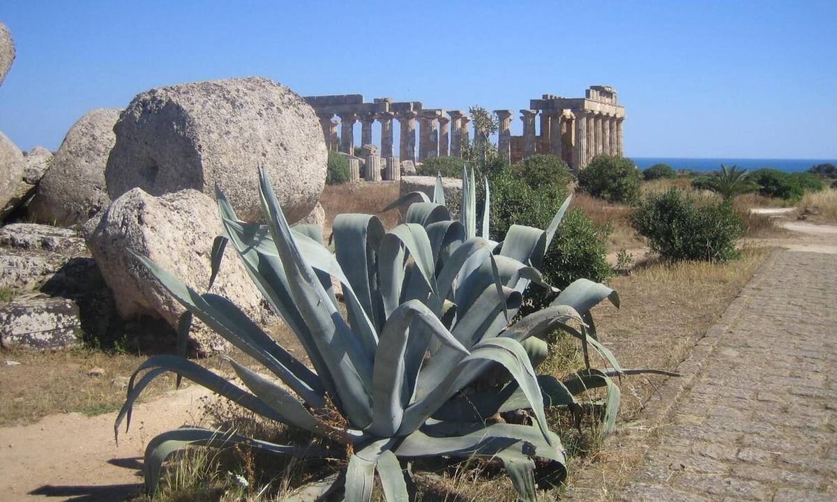 Marinella di Selinunte Hotel | Hotel Alceste