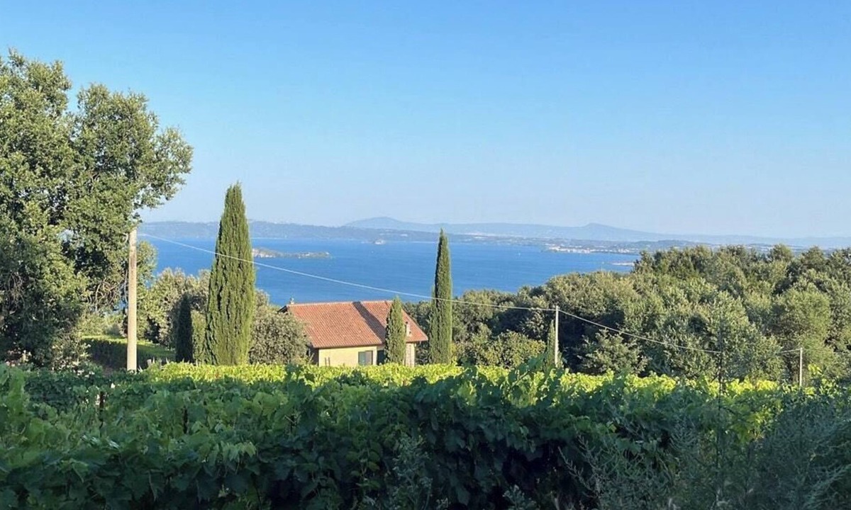 Gradoli House | House among regenerative vineyards near Bolsena