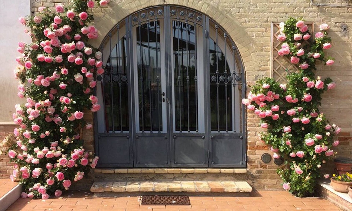 Monterubbiano House | House immersed in the Marche countryside