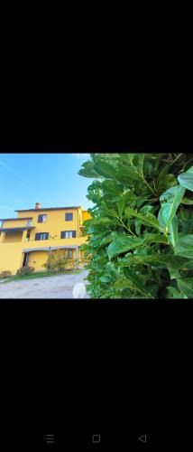 Bagnoregio House | House La Torricella
