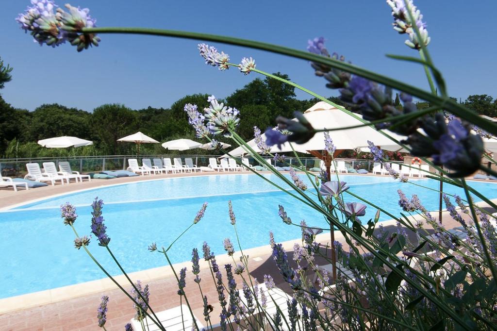 Guardistallo Resort | Il Borgo Centro Vacanze