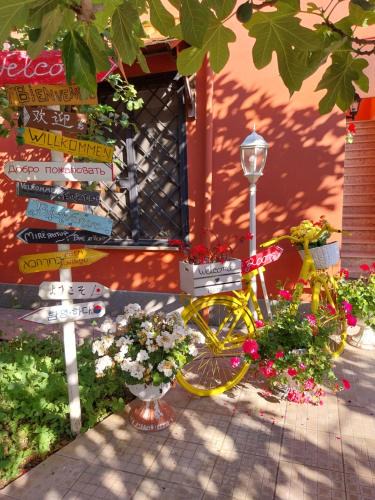 Isola Sacra Bed & Breakfast | Il Viandante